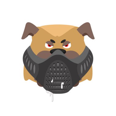 Kızgın köpek namlu içinde. Kötü Bulldog giyen maskesi. Ev evde beslenen hayvan aggress