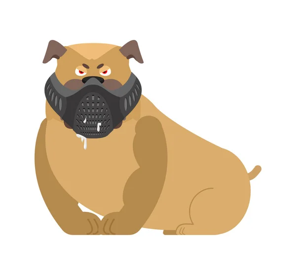 Θυμωμένος σκύλος στο ρύγχος. Κακό μπουλντόγκ φορώντας μάσκα. Σπίτι κατοικίδιο ζώο aggress — Διανυσματικό Αρχείο