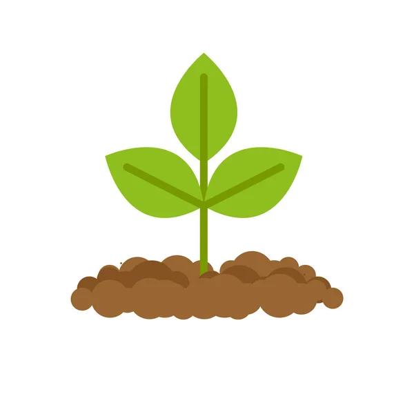 Sprout grows from ground. Plants in soil — Stock Vector