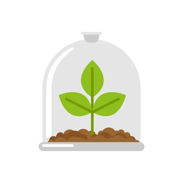 Plant in Glass Bell. Laboratory jar and sprout. For poster about — Stock Vector