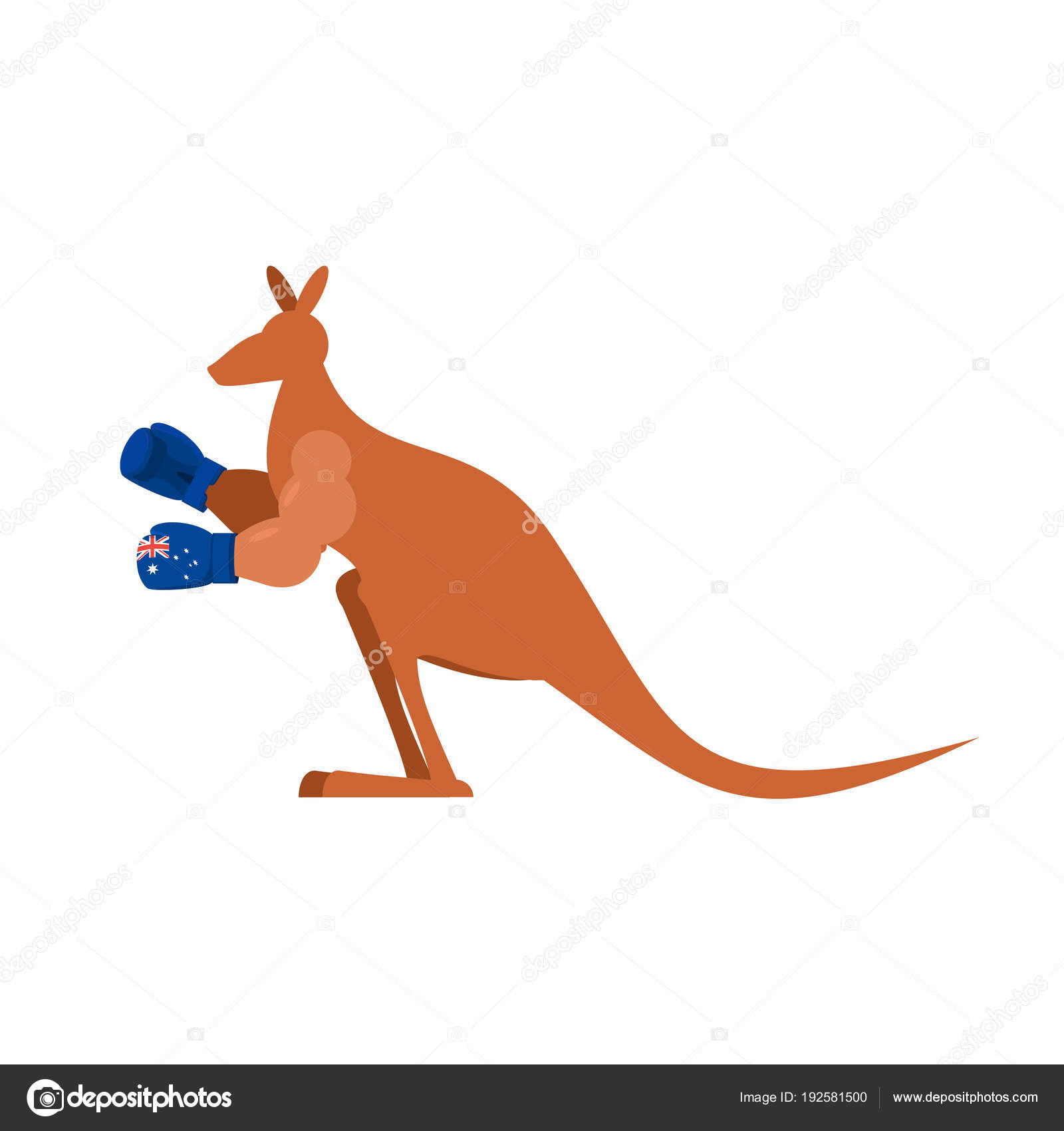 Känguru und Boxhandschuhe. Australischer Boxer. Australisches Wallaby