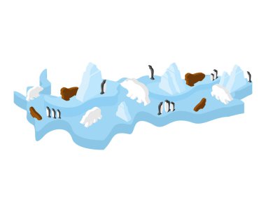 Antarktika izometrik harita hayvan ve bitkiler. Kuzey Kutbu flora ve 