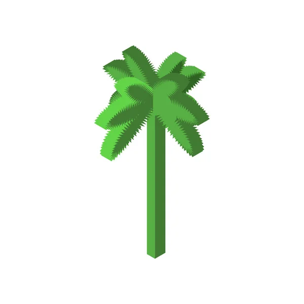 Palm isometrische stijl geïsoleerd. tropische boom vectorillustratie — Stockvector