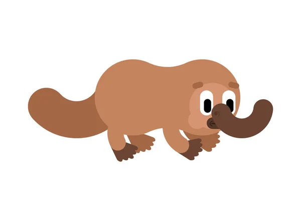 Platypus мультфильм изолирован. милый утенок. ornithorhyncus — стоковый вектор