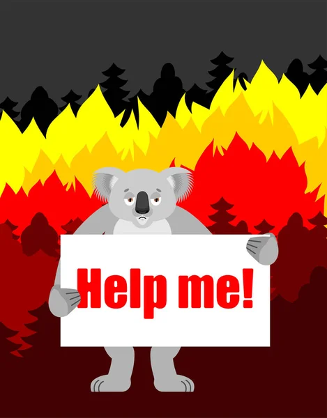 Koala con afiche. Ayúdame. Fuego en Australia. vector illustrati — Archivo Imágenes Vectoriales