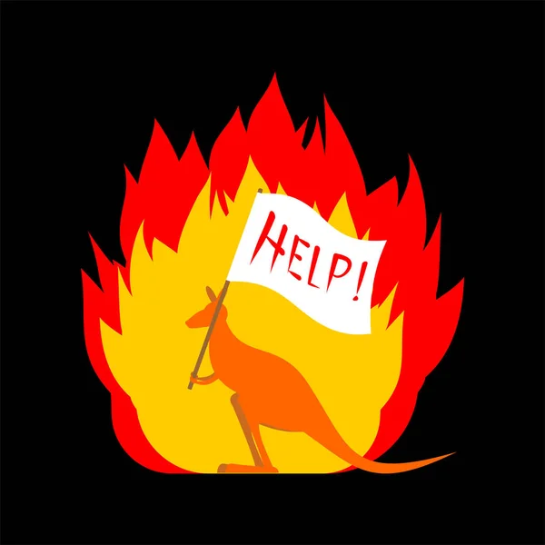 Kangaroo with poster -Help. Fire in Australia. vector illustrati — Stock Vector