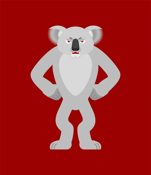 Koala arg. Koala bär ondska. Odjur aggressiva. Vektor illustrat — Stock vektor