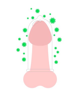 Condom protects penis from viruses and germs. vector illustration clipart