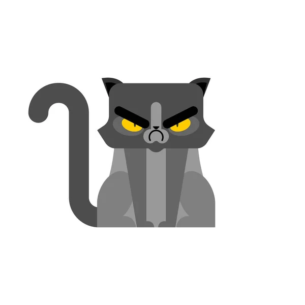 Mrzutá Kočka Izolovaná Rozzlobený Mazlíček Vektorová Ilustrace — Stockový vektor