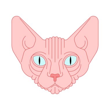 Sphynx kedi yüzü izole edilmiş. Evcil hayvan kafası vektör çizimi