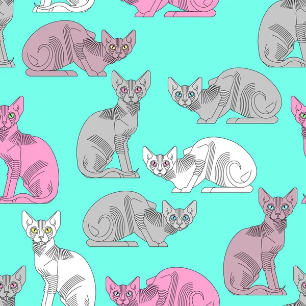 Patrón Gato Esfinge Sin Costuras Fondo Para Mascotas Textura Animal — Archivo Imágenes Vectoriales