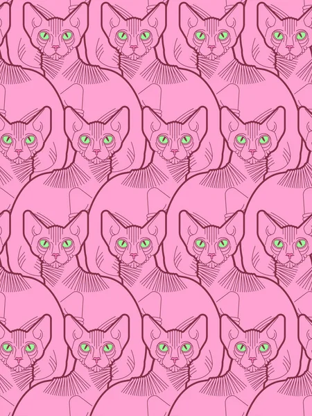 スフィンクス猫のパターンをシームレスに ペットの背景 家の動物の質感 ベクトル装飾 — ストックベクタ
