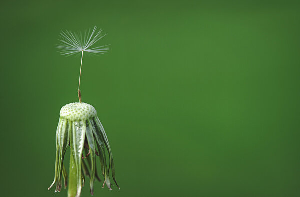 Один, крупным планом
