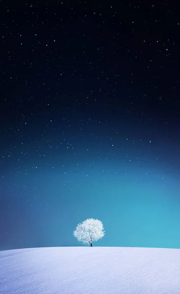 Apple, vinter bakgrundsbilder — Stockfoto