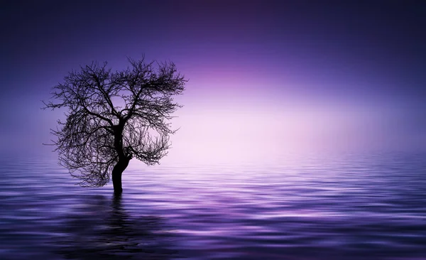 Albero al lago — Foto Stock