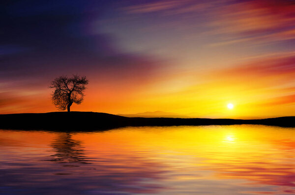 Beautiful bright sunset on the river with tree silhouette