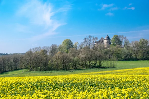 Sababurg im Reinhardswald Nordhessen 'de