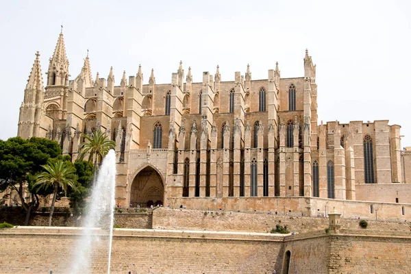 Die Kathedrale Von Mallorca — Stock fotografie