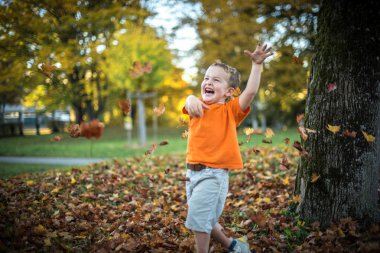 mutlu küçük çocuk düşmüş altın yaprağı ile oynarken iyi eğlenceler