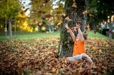 mutlu küçük çocuk düşmüş altın yaprağı ile oynarken iyi eğlenceler