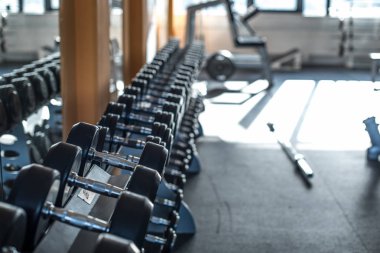 Spor salonunda bir sıra dambıl.