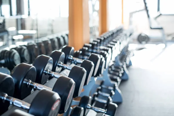 Spor salonunda bir sıra dambıl.