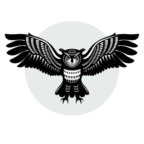 Baykuş uzanmış kanatlı uçuşta