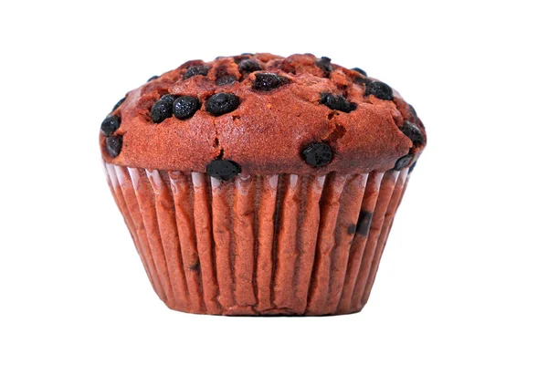 Muffin chocolade chip geïsoleerd — Stockfoto