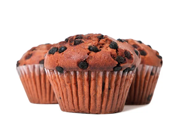 Chocolate chip muffin cakes — Stock Photo, Image