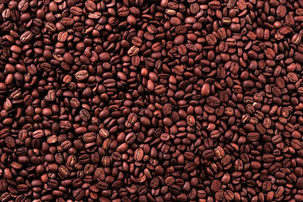 Grano de café plano de fondo — Foto de Stock