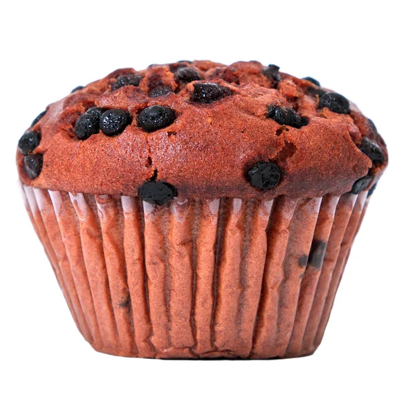 Muffin chocolate chip isolated — Stock Photo, Image