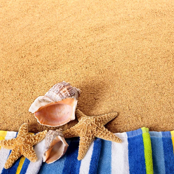 Playa de verano frontera estrellas de mar fondo cuadrado — Foto de Stock