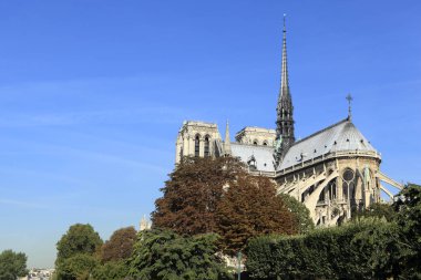 Notre dame de Paris