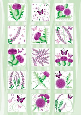 Dekoratif İskoç çiçek thistle ve heather kümesi