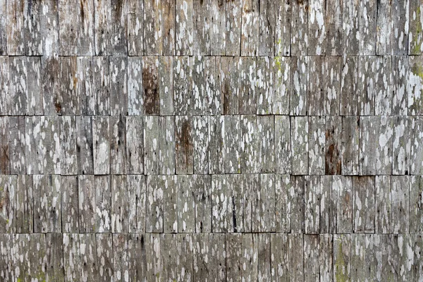 Wood Wall Material Background Texture Small Pattern — Stock Photo, Image