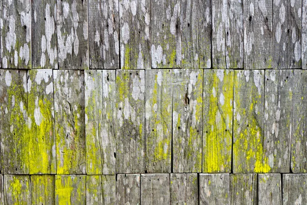 Wood wall material background texture — Stock Photo, Image