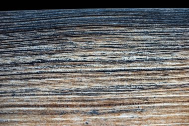 Kahverengi ağaç kabuğu dokusu. Soyut doğal arkaplan