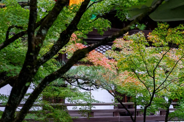 Снаружи Японского Дома Естественный Вид Красный Желтый Зеленый Отпуск Ноябре — стоковое фото