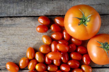 Büyük ve küçük boy kırmızı domates grubu, stüdyo çekimi. 