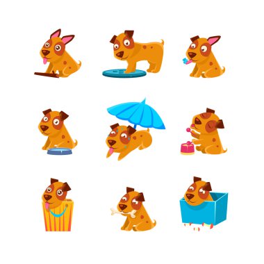 Puppy Günlük Aktiviteler Koleksiyonu