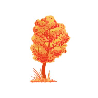 Sonbahar Özniteliği olarak Portakal Yaprakları ile Ağaç