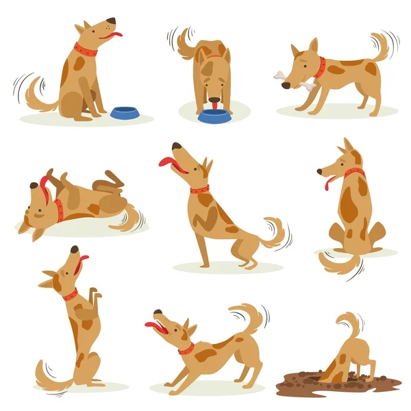 Brown Dog Set Of Normal Everyday Activities — Stock Vector