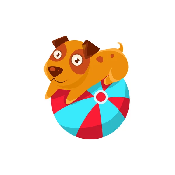小狗在充气球上保持平衡 — 图库矢量图片