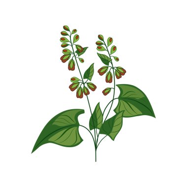 Kır çiçeği el detaylı şekilde çekilmiş