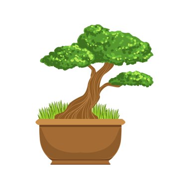 Bonsai Japon kültürünün sembolü