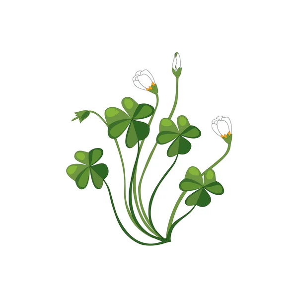Shamrock flor salvaje dibujado a mano ilustración detallada — Vector de stock