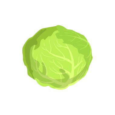 Lahana ürün zengin folik asit