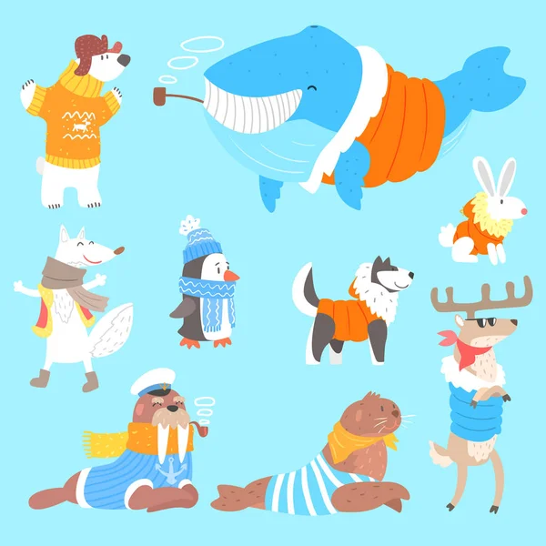 Arctic Animals Dressed In Human Clothes Set Of Illustrations — Stock Vector