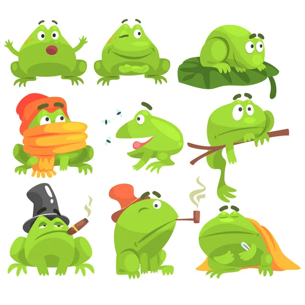 Green Frog Funny Character Set Of Different Activities — Stock Vector