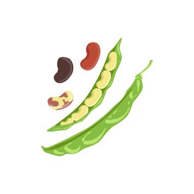 Fasulye ürün zengin folik asit